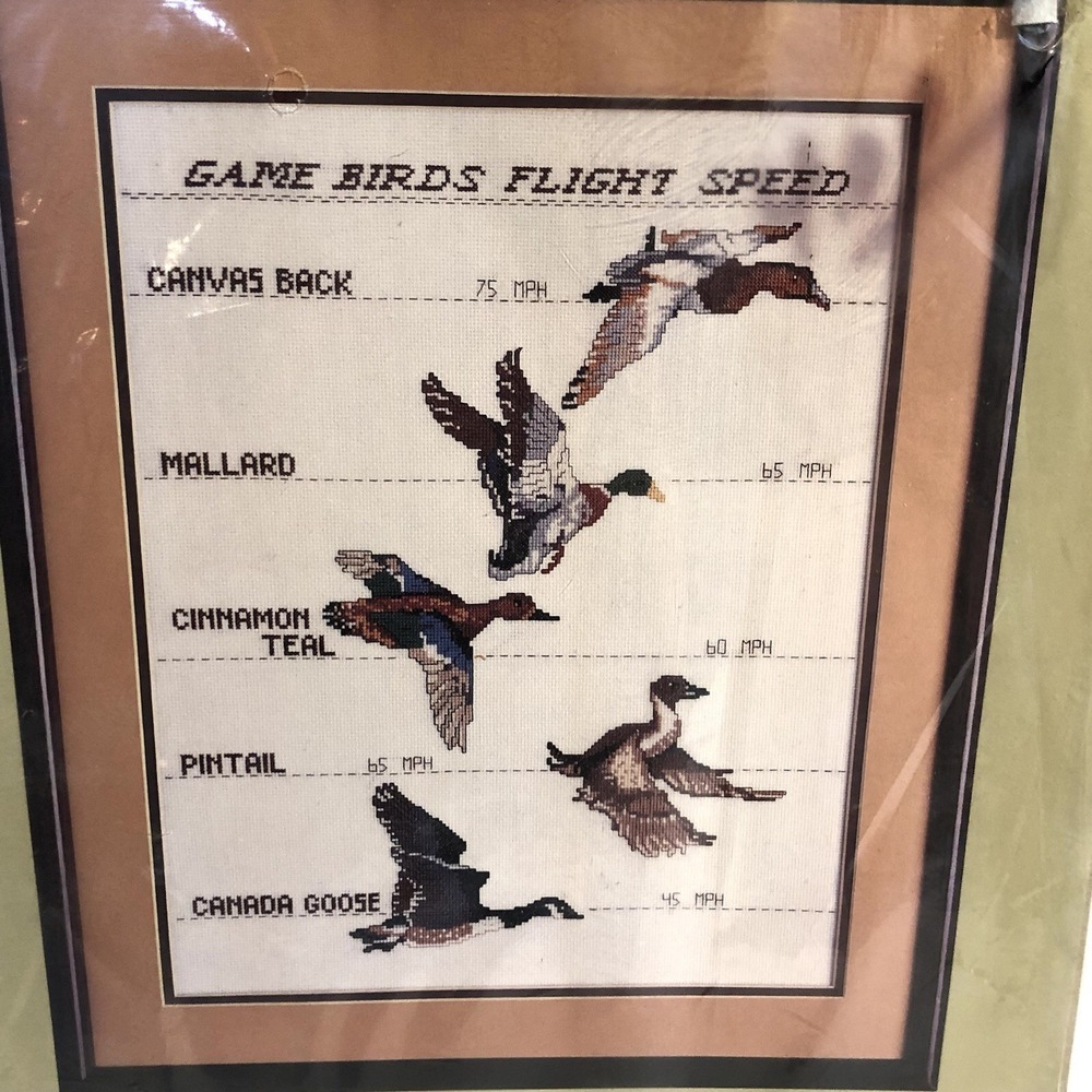 Something Special COUNTED CROSS STITCH KIT GAME BIRD FLIGHT SIZE 14" X 18" 50339 - Picture 5 of 5